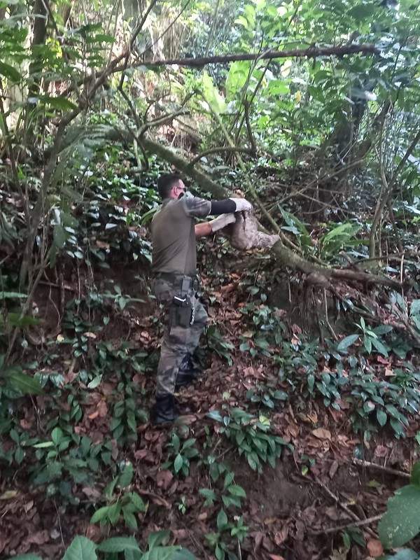 Grupamento-de-Defesa-Ambiental-arquivo-PMG-1