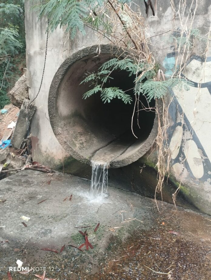 WhatsApp Image 2025-05-06 at 17.48.19 (1)