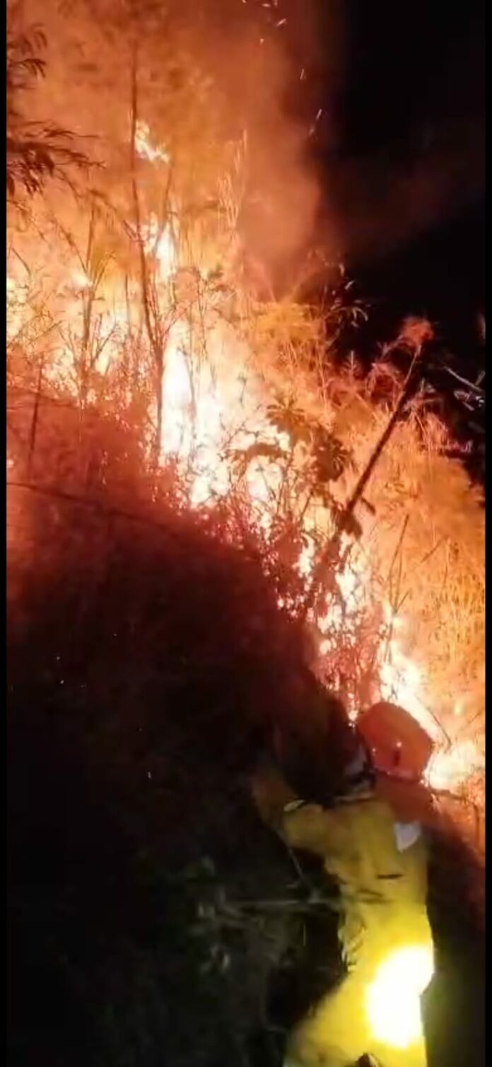 Incêndio atinge área de mata nativa em São Sebastião e mobiliza bombeiros e Defesa Civil Incêndio atinge área de mata nativa em São Sebastião e mobiliza bombeiros e Defesa Civil