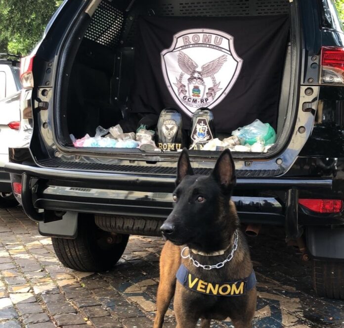 WhatsApp Image 2025-05-29 at 10.33.40