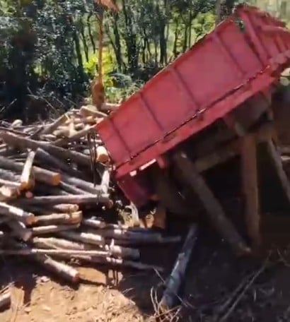 Motorista morre prensado por trator durante trabalho em plantação de eucalipto