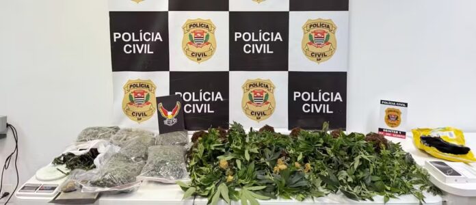 whatsapp-image-2025-05-12-at-18.25.14