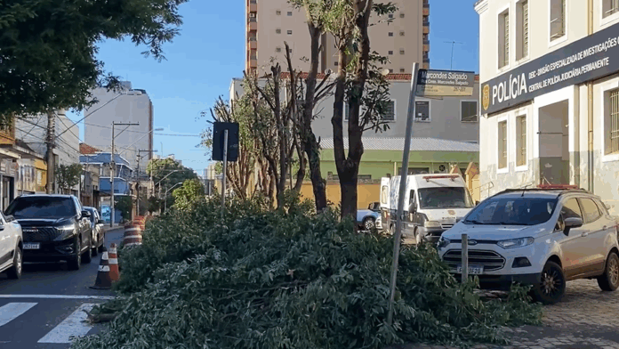 Captura de tela 2025-06-13 131630