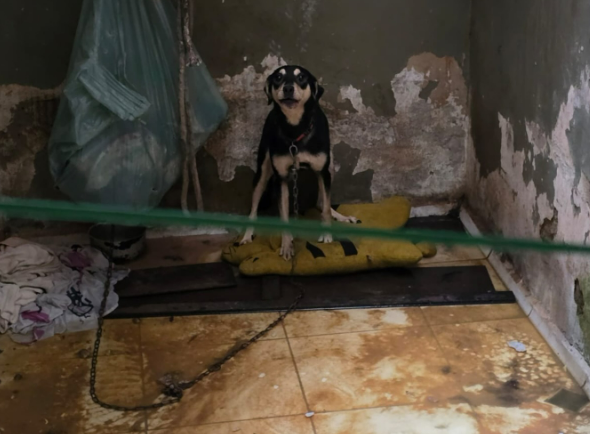 Captura de tela 2025-06-15 102421