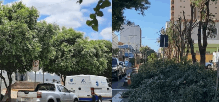 Captura de tela 2025-06-16 094935