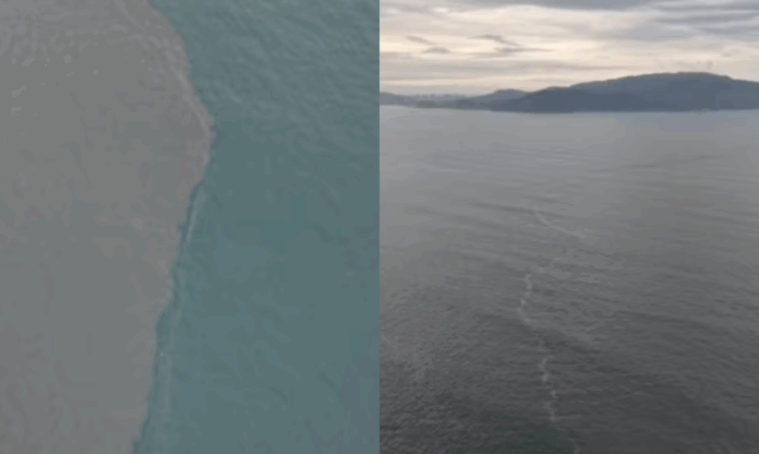 mancha verde mar são vicente