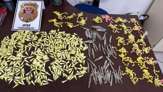 drogas itanhaém adolescente