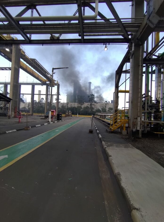 WhatsApp Image 2025-06-19 at 15.50.42