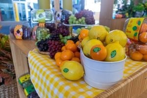 Hortitec apresenta inovações e atrai milhares de visitantes