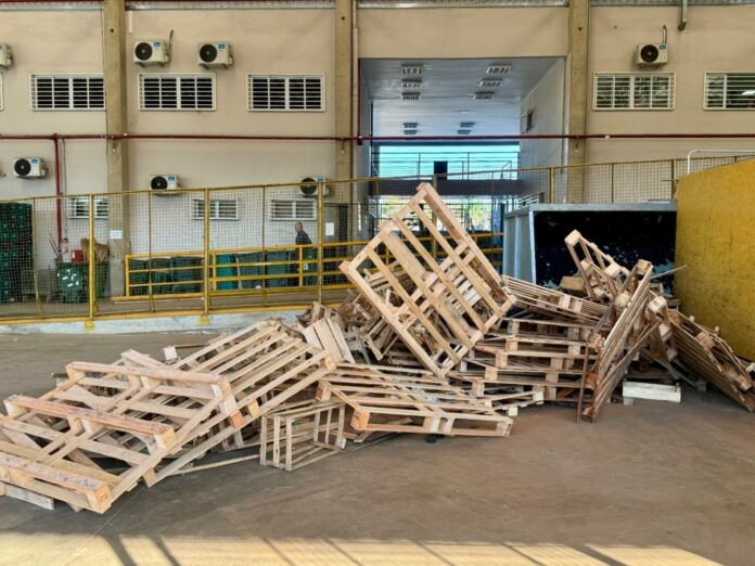 Ceasa Campinas transforma mais de 17 mil metros de madeira em combustível