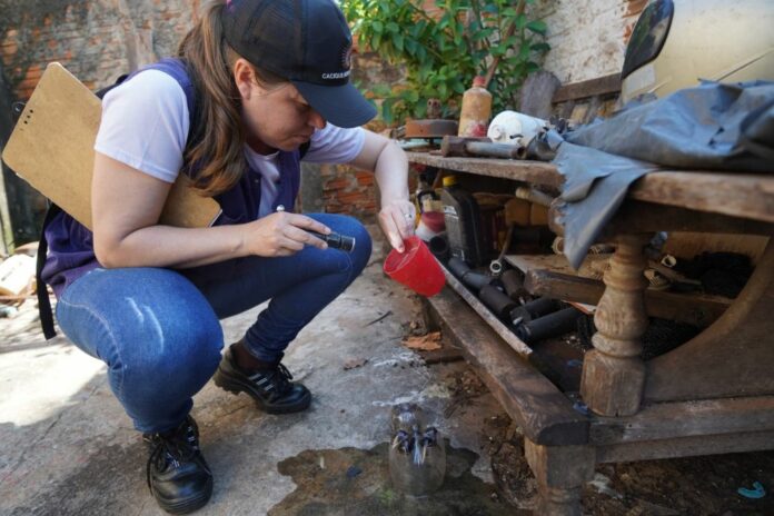 secretaria-municipal-de-saude-de-aracatuba-registra-28-casos-positivos-de-chikungunya-em-cinco-meses Foto: Divulgação