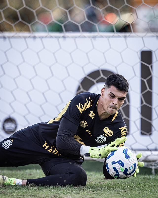 54661975205_4a0db2b35f_c