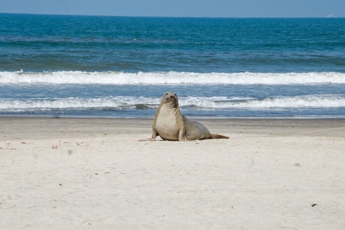 54c4dade-8fa9-4140-b8ab-c0475e8ebd3c (1)