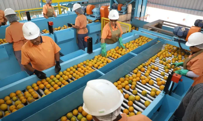 A laranja escapou da sobretaxa | Ari Dias/Governo do Paraná A laranja escapou da sobretaxa | Ari Dias/Governo do Paraná