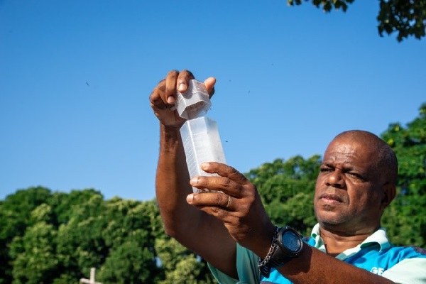 BIOFABRICA Tecnologia do World Mosquito Program começa a ser aplicada na cidade com apoio da Fiocruz e do Ministério da Saúde; mais de 80 bairros vão receber os “Wolbitos” ao longo das próximas semanas