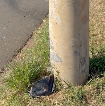 Captura de tela 2025-07-07 142009