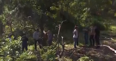 Captura de tela 2025-07-18 154339