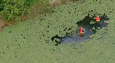 Captura de tela 2025-07-21 185959