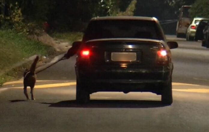 Cão é puxado por carro em movimento em Valinhos