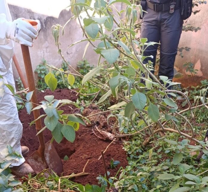 WhatsApp Image 2025-07-10 at 11.54.30