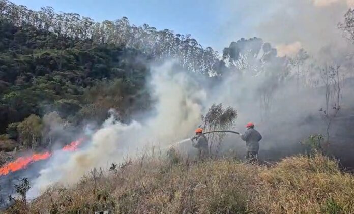 VÍDEO: Bombeiros combatem incêndio em vegetação de São Luiz do Paraitinga VÍDEO: Bombeiros combatem incêndio em vegetação de São Luiz do Paraitinga