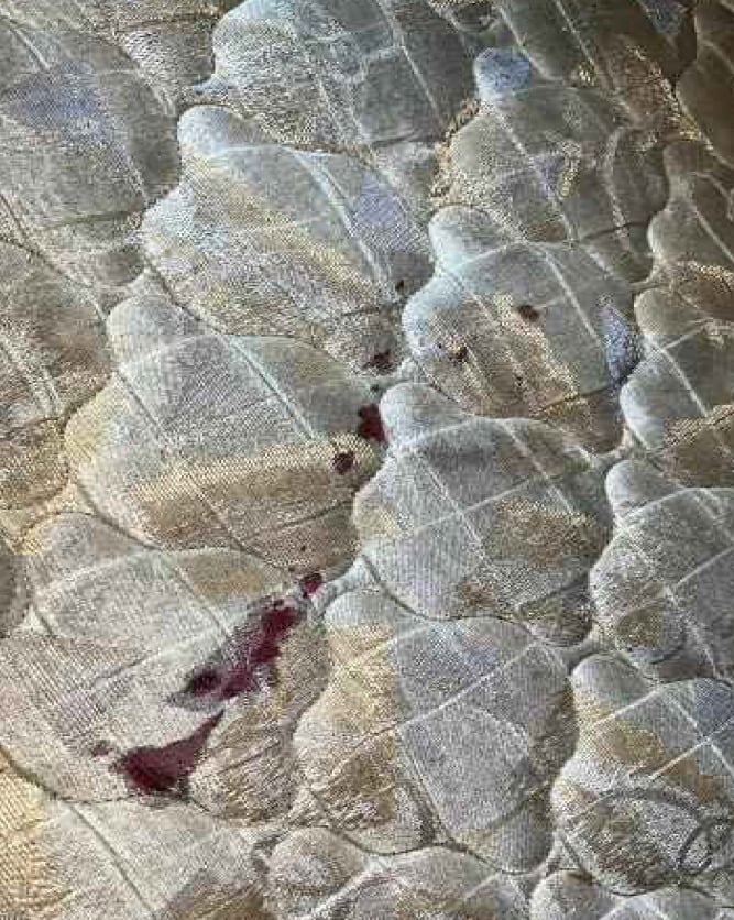 Homem dá facada no pescoço da esposa na frente do filho e é preso em Pindamonhangaba