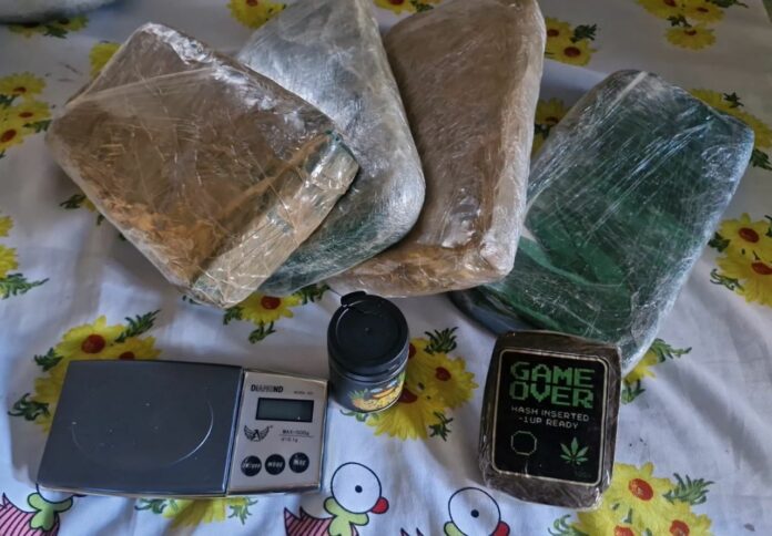 WhatsApp Image 2025-07-28 at 15.44.46