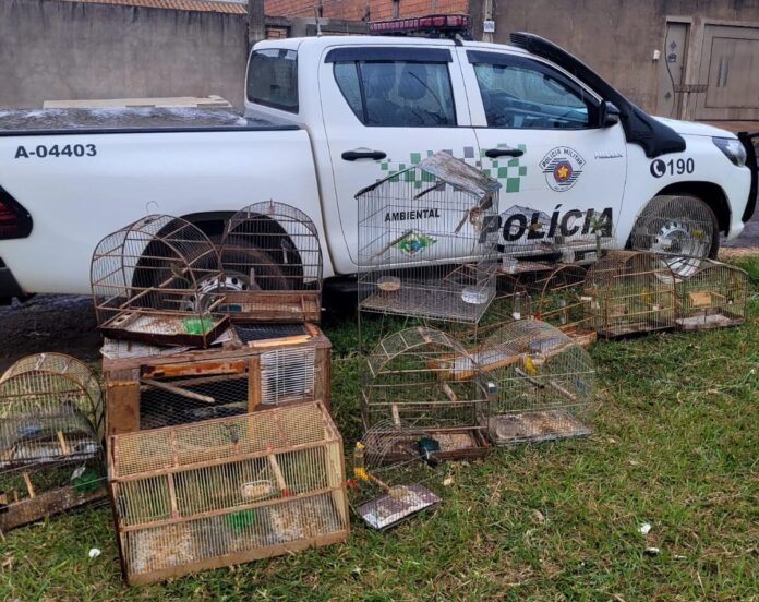 WhatsApp Image 2025-07-29 at 11.15.53