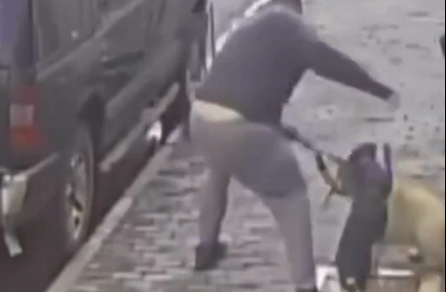 Pitbull sem focinheira ataca cachorra | Reprodução