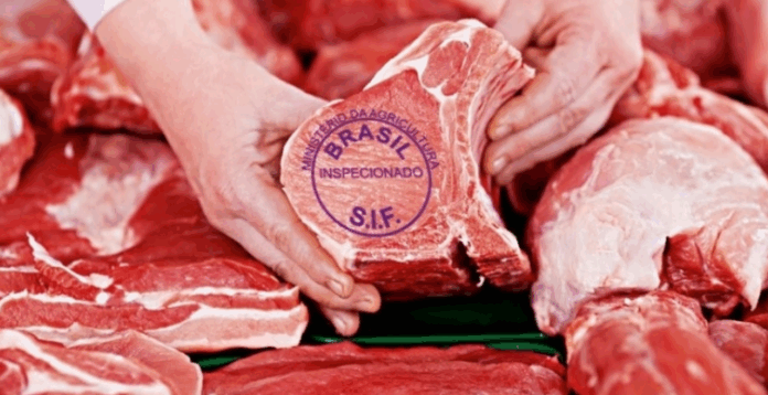 Carne brasileira para exportação | Reprodução Carne brasileira para exportação | Reprodução
