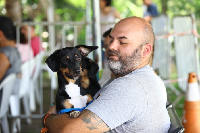 São José abre mil vagas para castração gratuita de cães e gatos