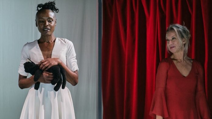 Sesi Taubaté recebe espetáculos gratuitos com companhias teatrais de Portugal nos dias 18 e 19 Sesi Taubaté recebe espetáculos gratuitos com companhias teatrais de Portugal nos dias 18 e 19