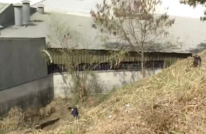 Screenshot perícia chega ao local para investigar caso