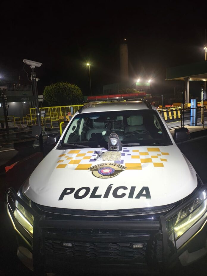 Jovem é preso com 530 porções de skunk em rodovia de São José