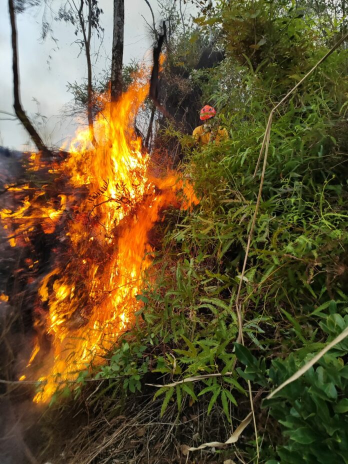Fim de semana tem série de incêndios na região; veja Fim de semana tem série de incêndios na região; veja