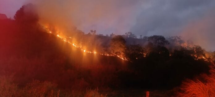 Incêndio atinge área de vegetação em Caraguatatuba