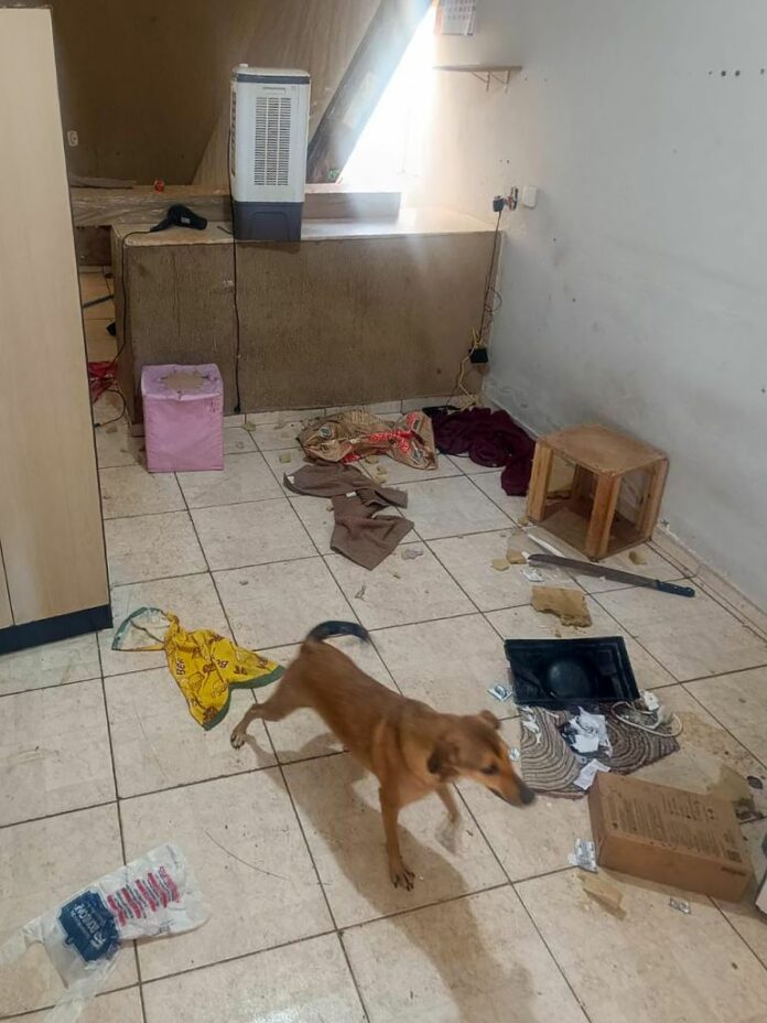 gcm-de-aracatuba-atende-denuncia-de-maus-tratos-a-animais Divulgação