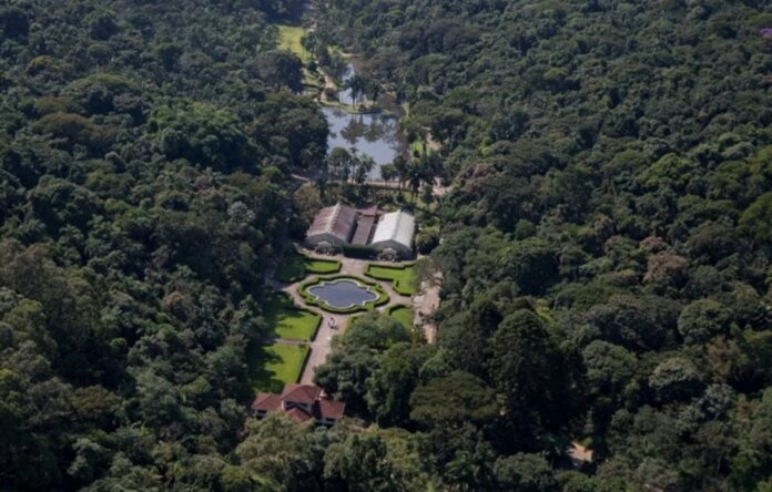 Jardim Botânico SP revela segredos da Mata Atlântica e abriga exposição com peças indígenas