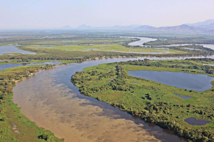 Redução histórica de 75% mostra que é possível reverter a crise climática quando políticas públicas e ação coletiva se unem.