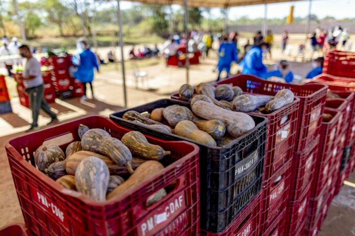 produtores-rurais-iniciam-capacitacao-para-levar-o-campo-a-merenda-escolar Divulgação