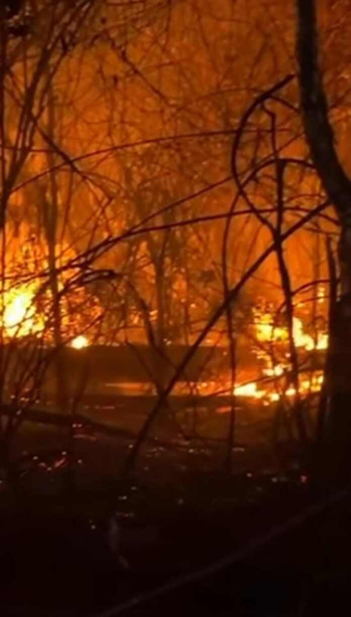 0003c3a1-f749-4754-88c1-202515d8e306 Foto: Reprodução