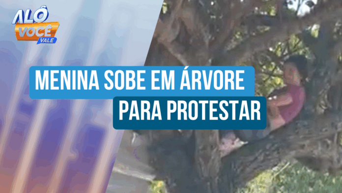 Menina sobe em árvore para tentar impedir corte em parquinho destruído em São José