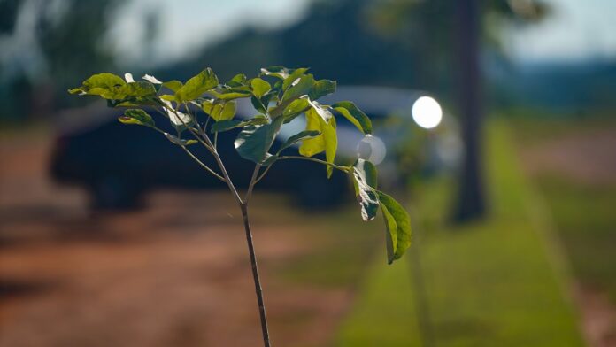 WhatsApp Image 2025-09-03 at 08.33.25 Divulgação