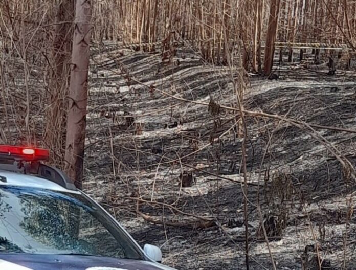 WhatsApp Image 2025-09-03 at 14.30.41 Área em que a ossada foi encontrada em Piracicaba