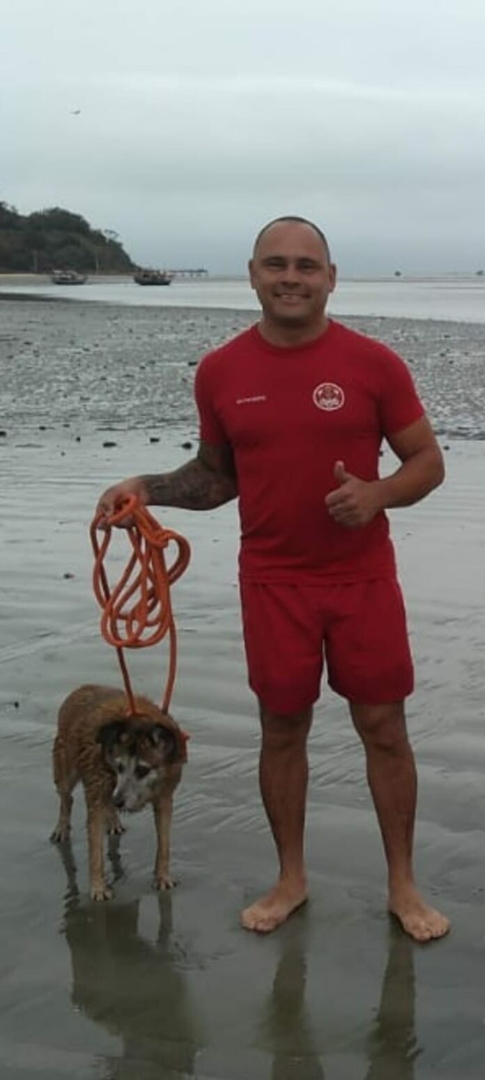 Bombeiros resgatam cão preso em banco de areia em Caraguatatuba Bombeiros resgatam cão preso em banco de areia em Caraguatatuba