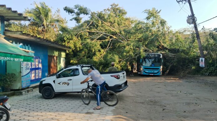Ventos fortes provocam queda de árvores e afetam trânsito em São Sebastião Ventos fortes provocam queda de árvores e afetam trânsito em São Sebastião