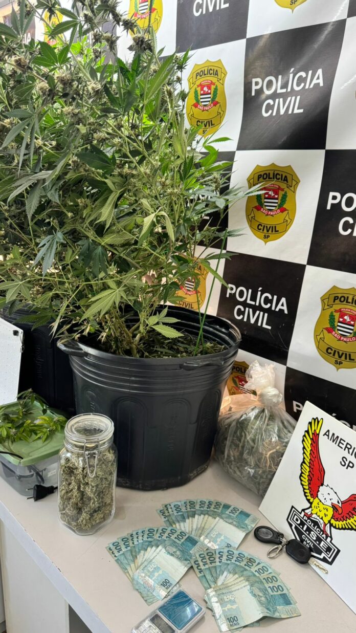 WhatsApp Image 2025-09-10 at 18.21.16