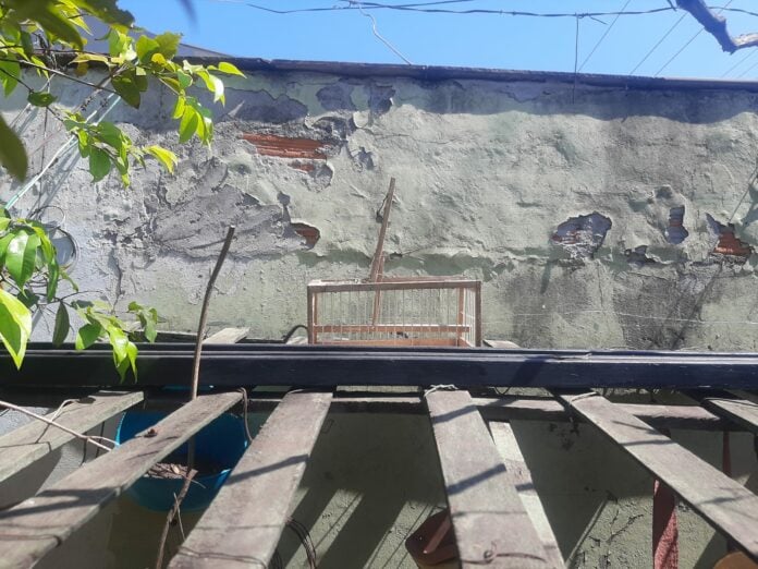 WhatsApp Image 2025-09-14 at 08.38.33