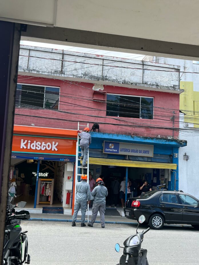 Cachorro é resgatado pelos bombeiros após cair de janela em Caraguatatuba Cachorro é resgatado pelos bombeiros após cair de janela em Caraguatatuba