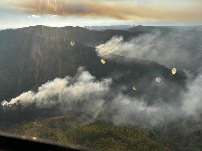 Incêndio de grandes proporções atinge área de vegetação em Taubaté